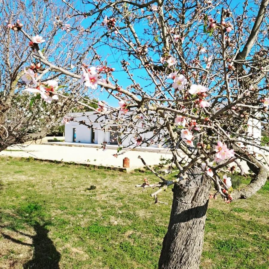 Casina Pompiliano Apartment Nardo Luaran gambar